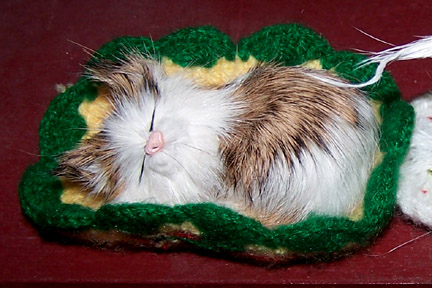 Before Hurricane Arliss