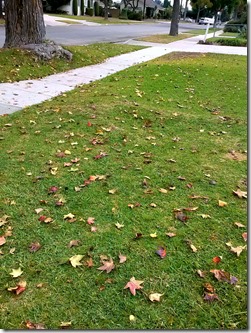 PHOTO_20131024_135307-picsay