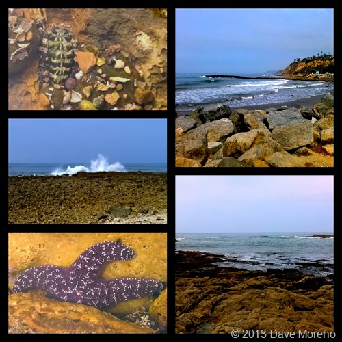 diptic_1370125410714