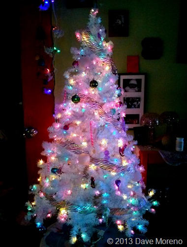 IMG_20131201_143911-picsay