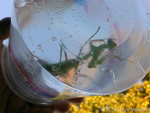 PHOTO_20130927_181743