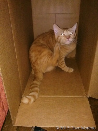 PHOTO_20131007_162932