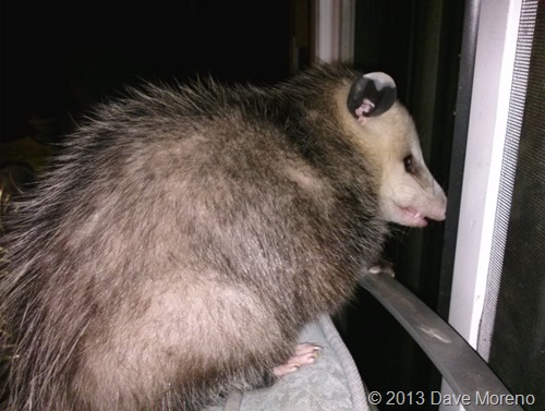 PHOTO_20131101_000050