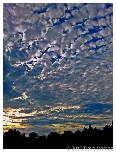 PHOTO_20131127_075228-picsay