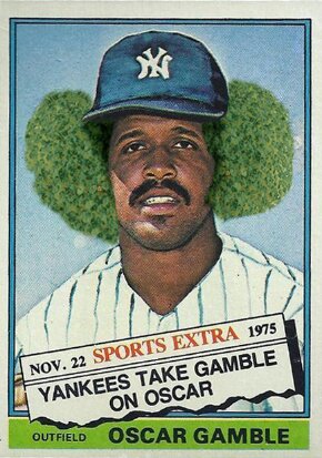 chia gamble.jpg image