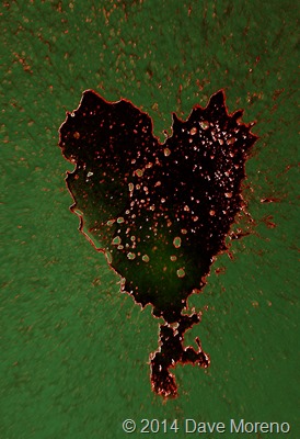 IMG_20140411_204651-picsay