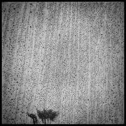 Friday as seen from my desk