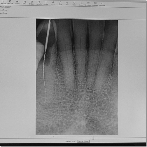 Photo Jul 10, 9 47 57 AM