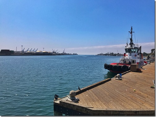 Photo Aug 13, 10 55 48 AM