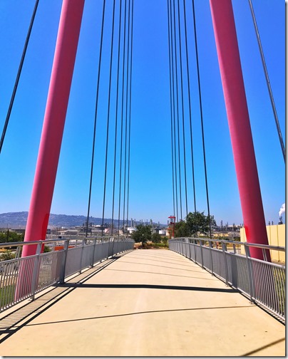 Photo Aug 13, 12 22 11 PM