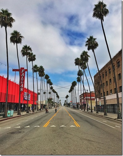 Photo Aug 13, 9 10 53 AM