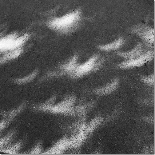 Photo Aug 21, 10 36 01 AM