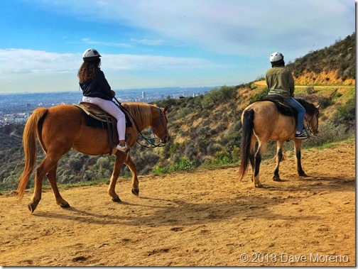 Photo Feb 14, 10 15 16 AM