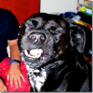 Photo Dec 10, 12 52 25 PM