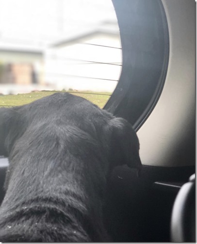 Photo Dec 11, 12 02 39 AM